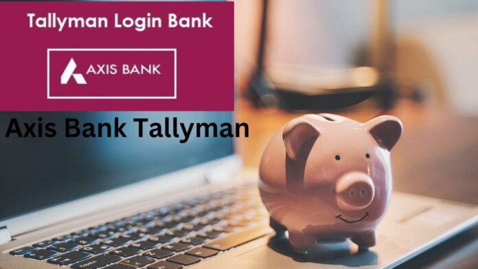 Tallyman Axis Bank