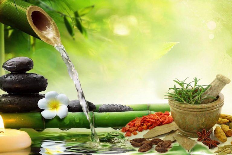 Unlocking Wellhealth Ayurvedic Health tips for a Vibrant Life 2024